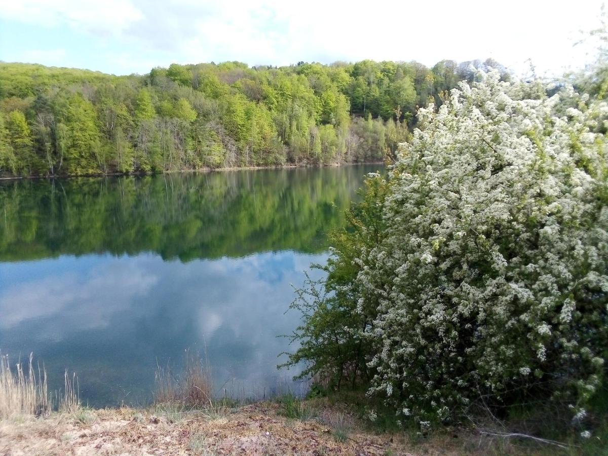 Apartament Joanna Wapnica  Kültér fotó